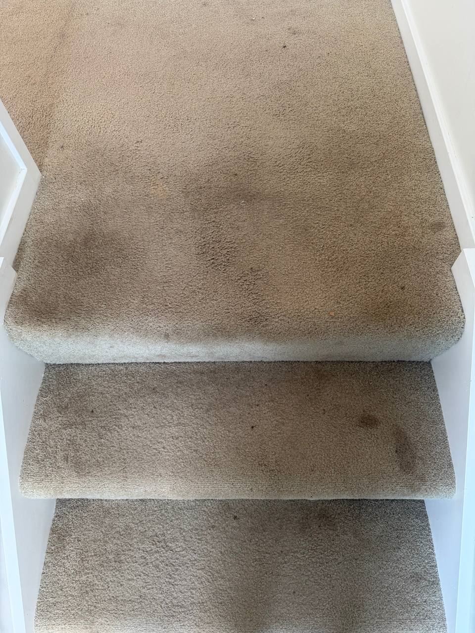 Before: soiled stair carpet, traffic lanes