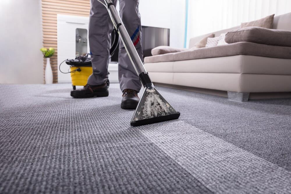 Capital Coastal Cleaning professional using advanced steam cleaning technology to transform a stained carpet in Canberra and Batemans Bay.