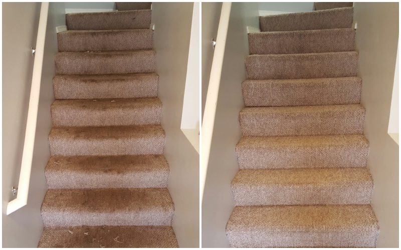 Before and After Bond Cleaning in Batemans Bay for Pet Owners