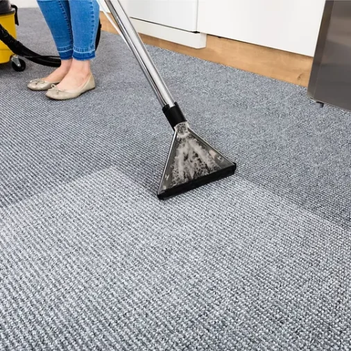 Deep-cleaning process of a carpet in Canberra by Capital Coastal Cleaning