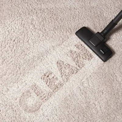 Professional Carpet Cleaning Equipment - Capital Coastal Cleaning